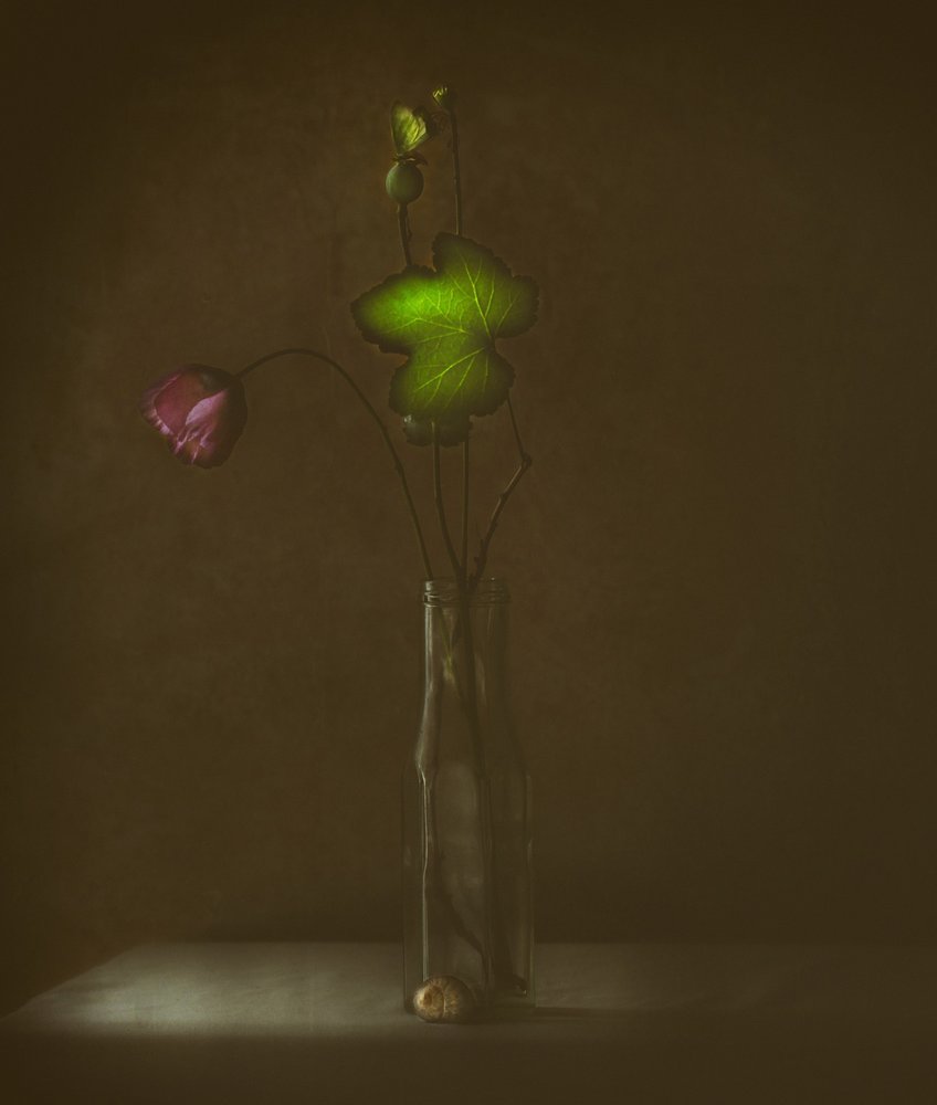 Stille Blüte und Blatt von Delphine Devos