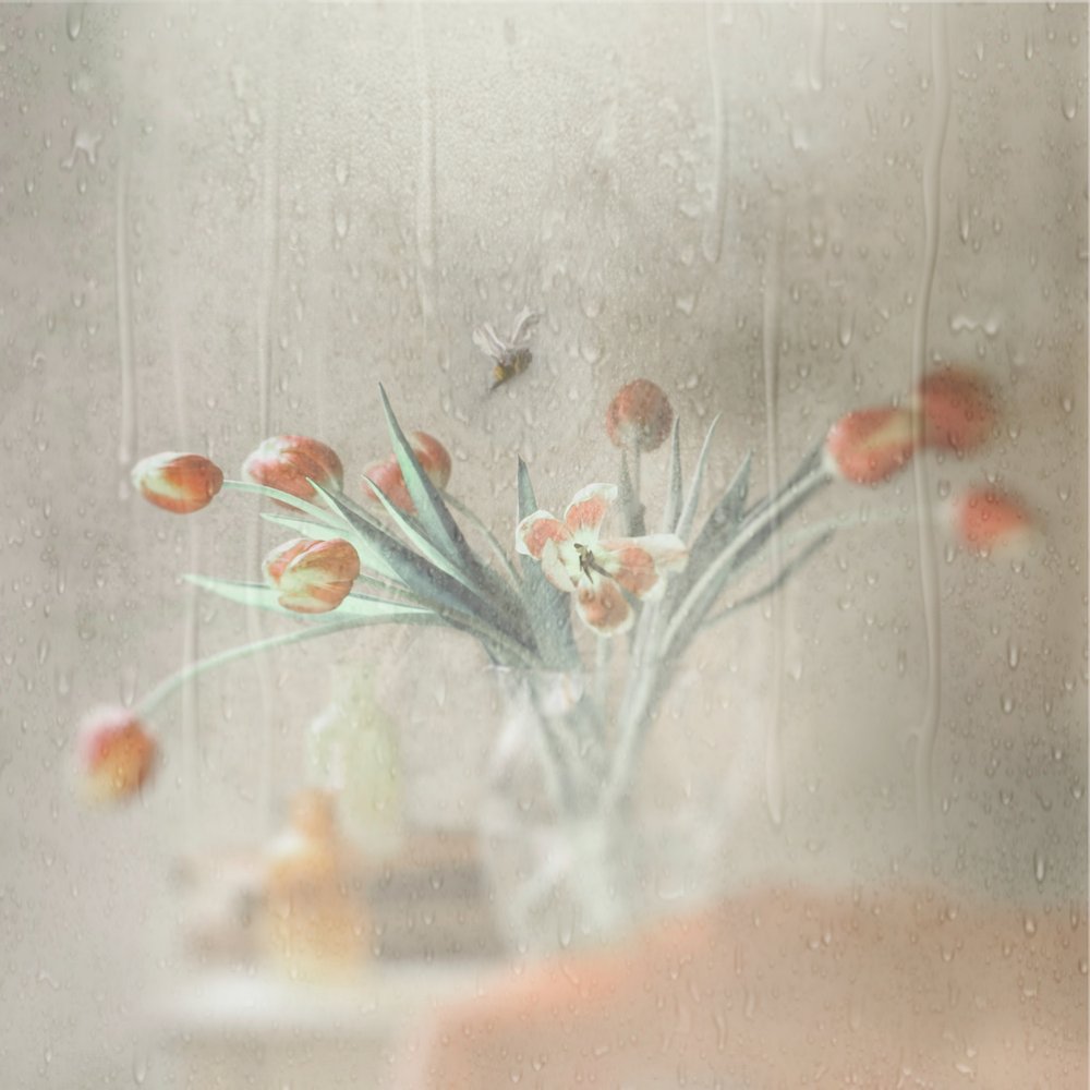 Regnerisches Fenster Tulpen von Delphine Devos