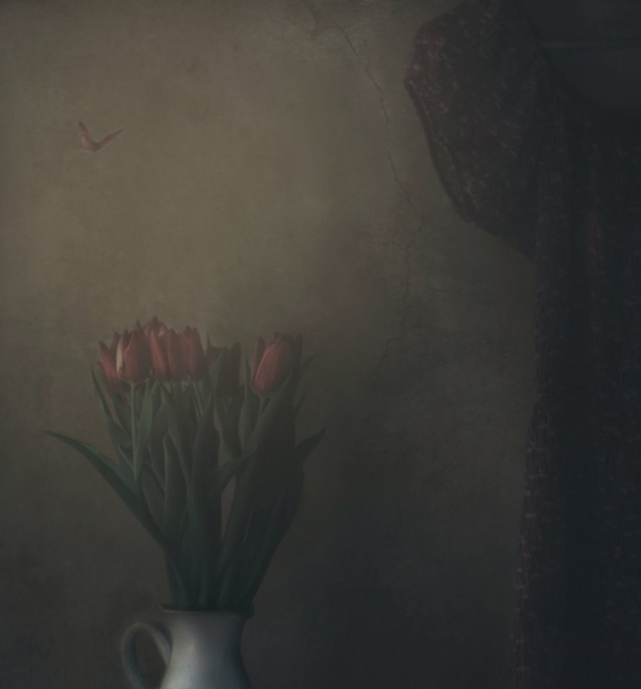 Beschattete Tulpen und Schmetterling von Delphine Devos