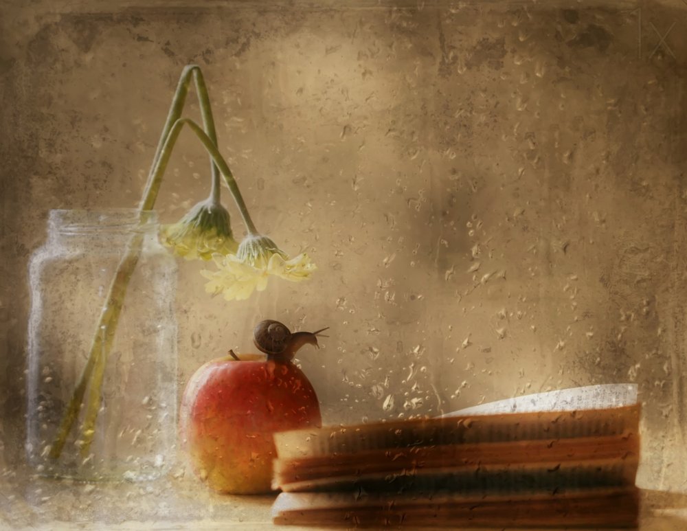 Schnecke auf Apfel Regentag von Delphine Devos