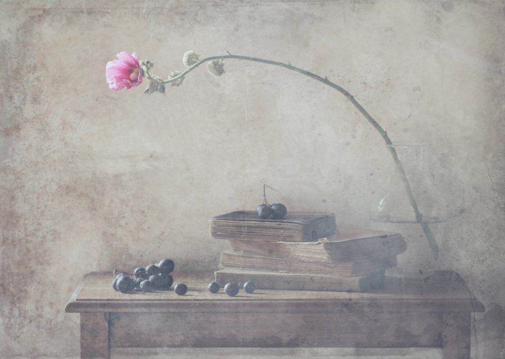Vintage Bücher und Blüte von Delphine Devos