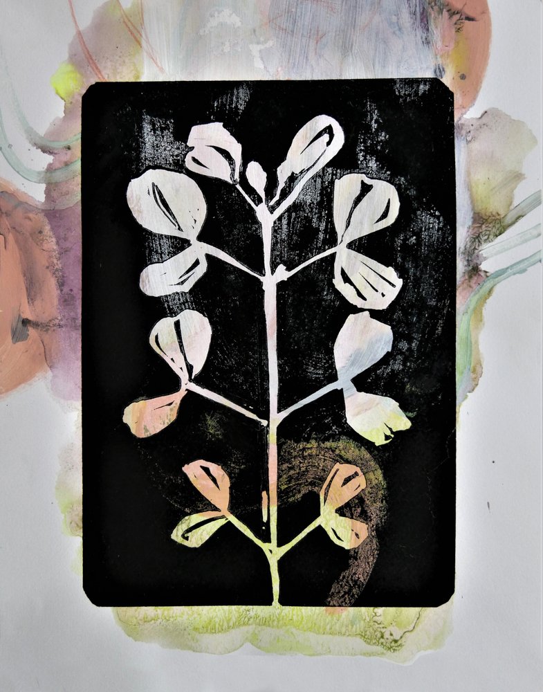 Pastell-Botanische Studie von Doris Schmitz
