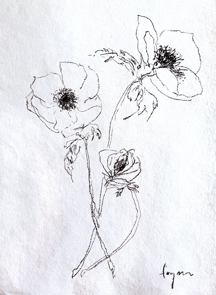 Zarte Blumenskizze von Dorothy Fagan