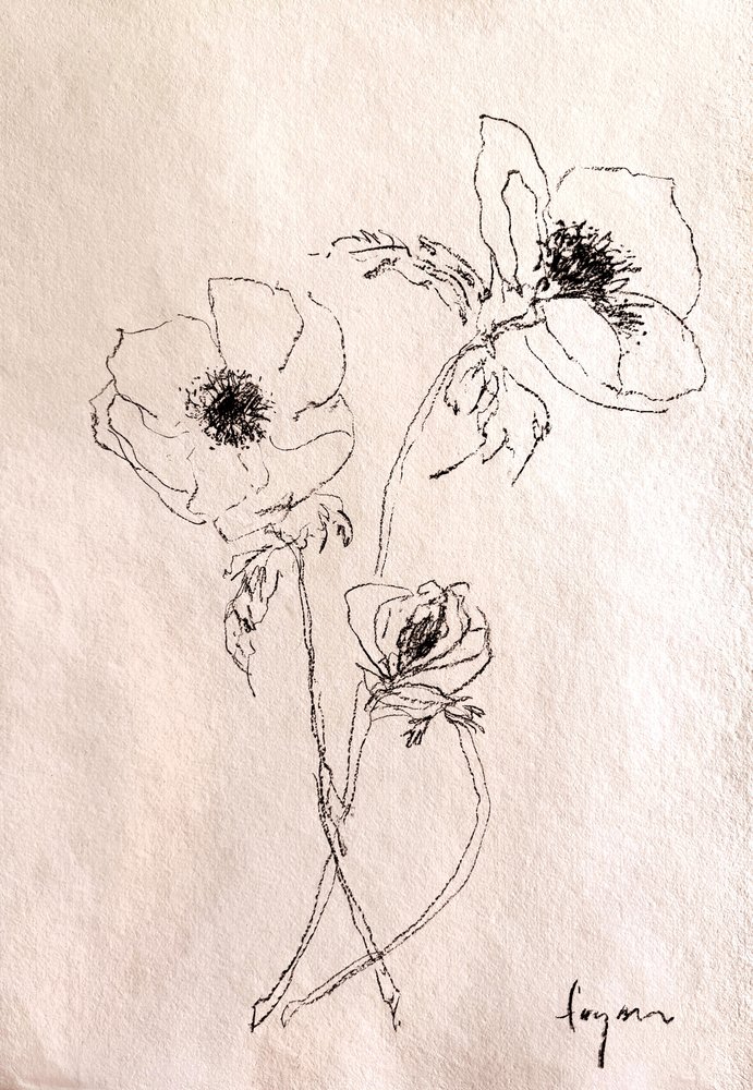 Minimalistische Blumenskizze von Dorothy Fagan