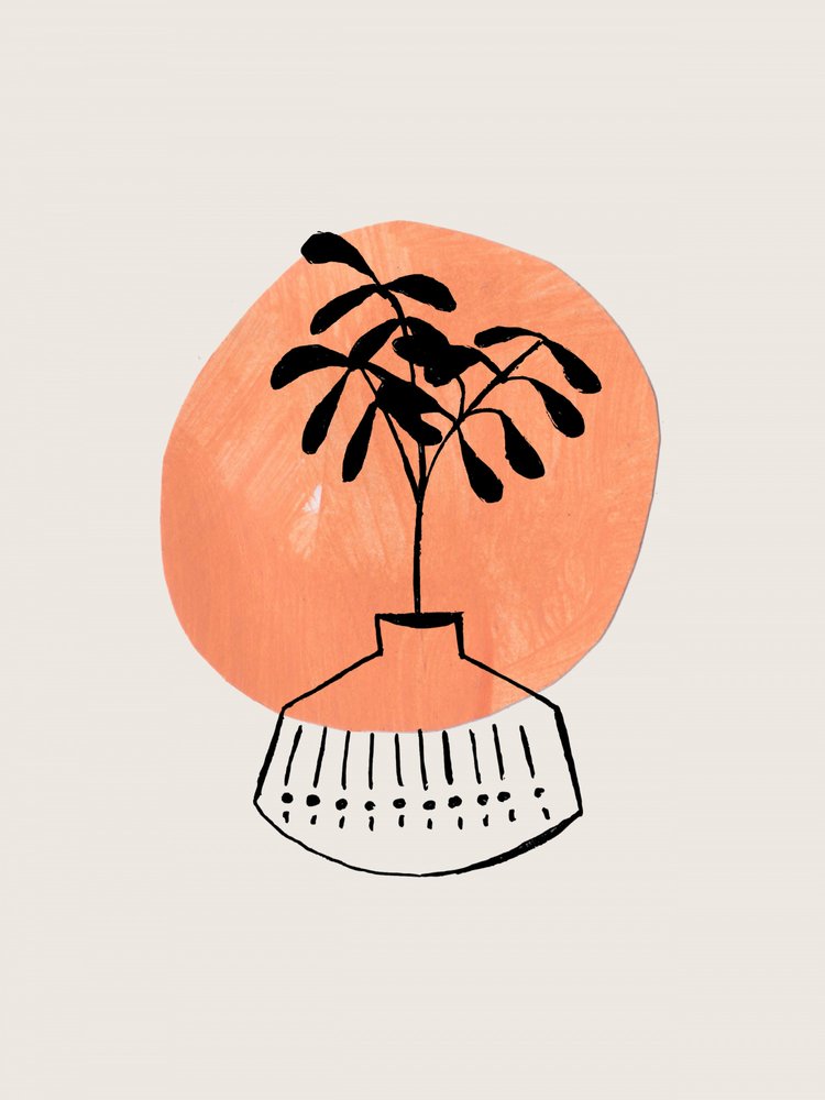 Moderne botanische Stillleben von Ejaaz Haniff