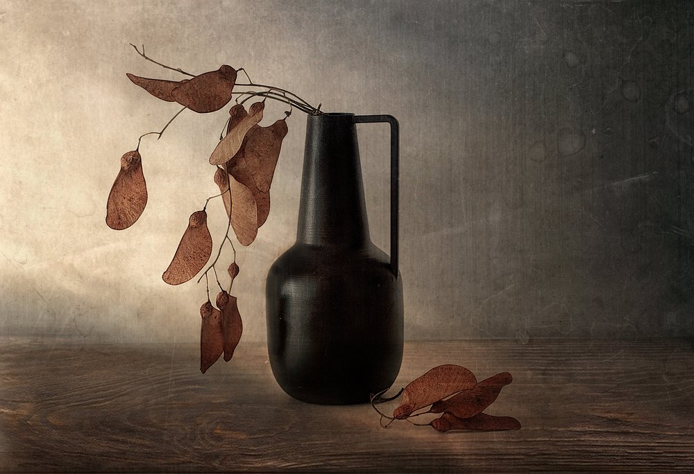 Schwarze Vase getrocknete Kapseln von Elena Arjona