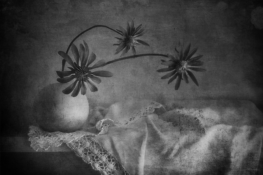 Dunkles Blumenstillleben von Elena Arjona