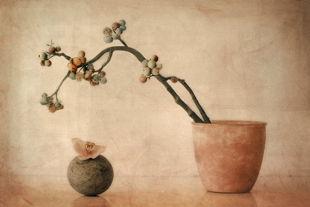 Erdige Beeren und Orchidee von Elena Arjona