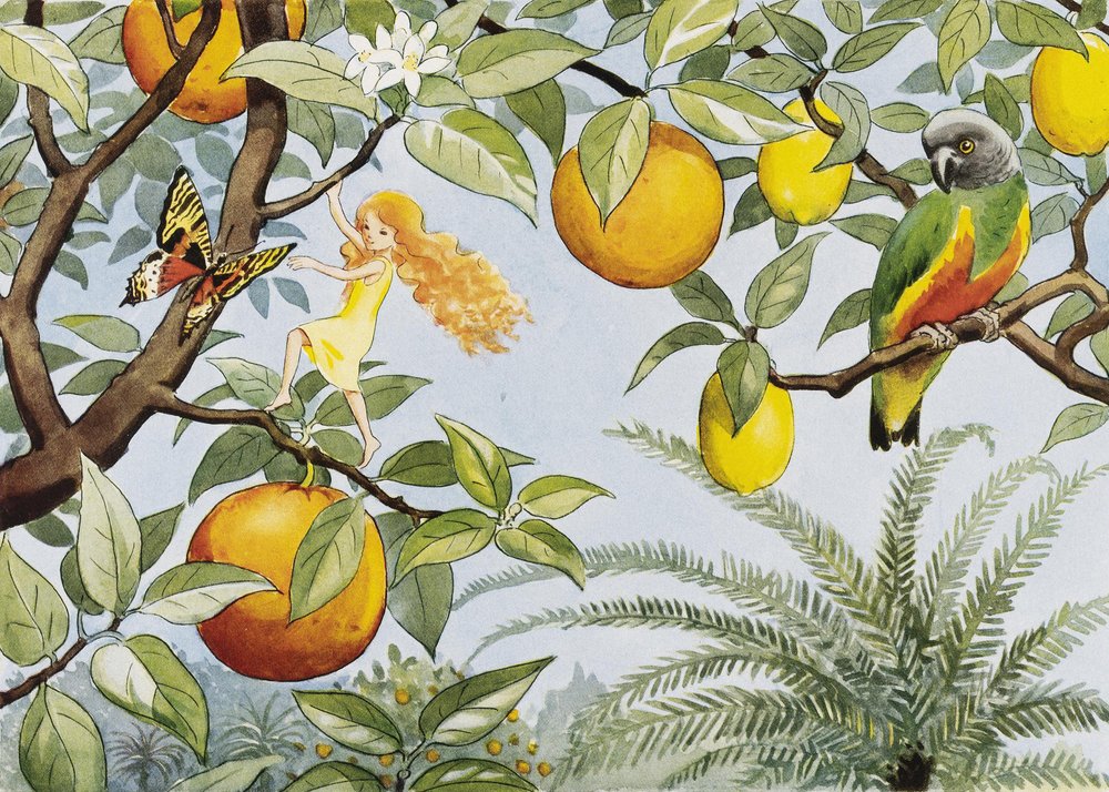 Solägget (1932) Sollandet von Elsa Beskow