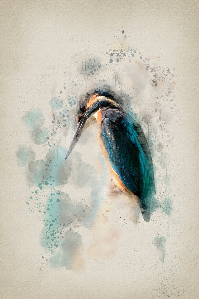 Lebendiger Eisvogel Aquarell von Ema Paraschiv