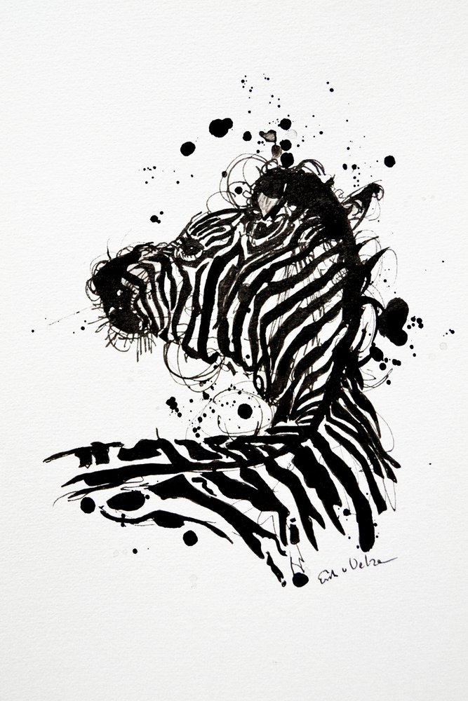 Wilde Zebra Tintenfleck von Erik Van Velzen