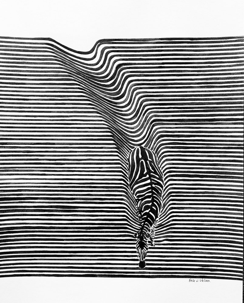 Zebra-Optische Täuschung von Erik Van Velzen