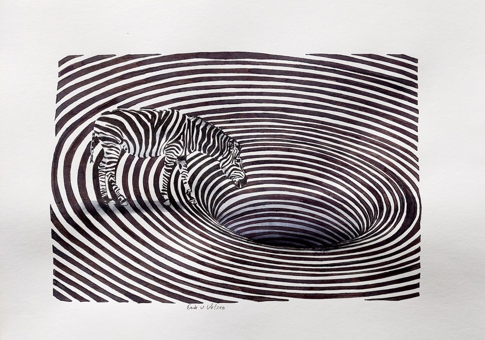 Zebra-Vortex-Täuschung von Erik Van Velzen