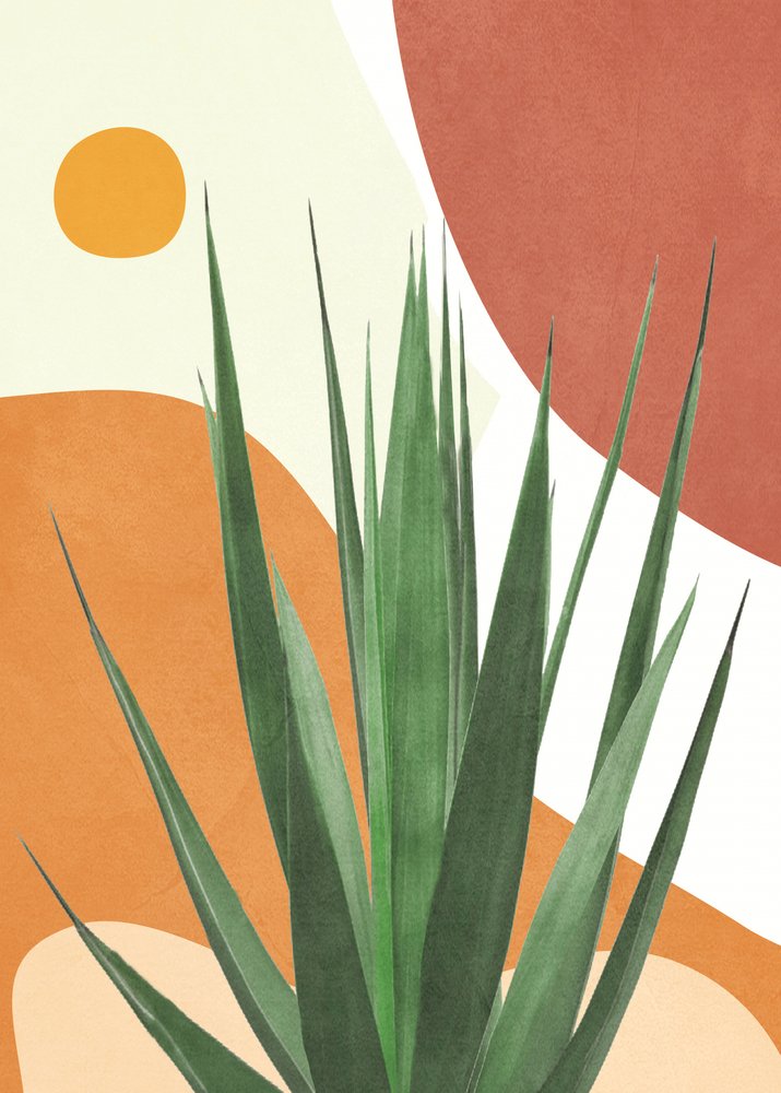 Moderne Wüsten-Agave von Flow Line