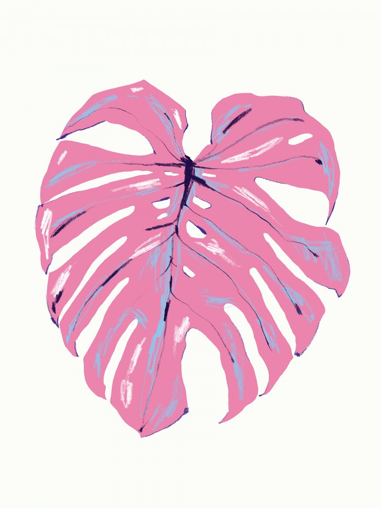 Tropische Pinke Monstera von Francesco Gulina