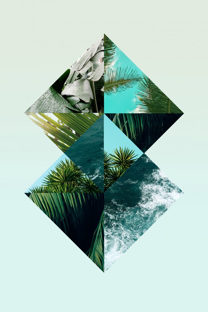 Geometrische Tropen von Gemma Bardot