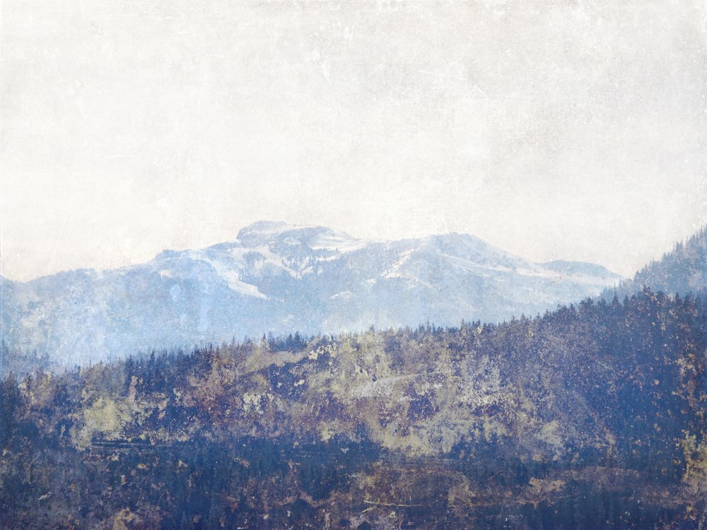 Nebliger Bergwald von Gemma Bardot