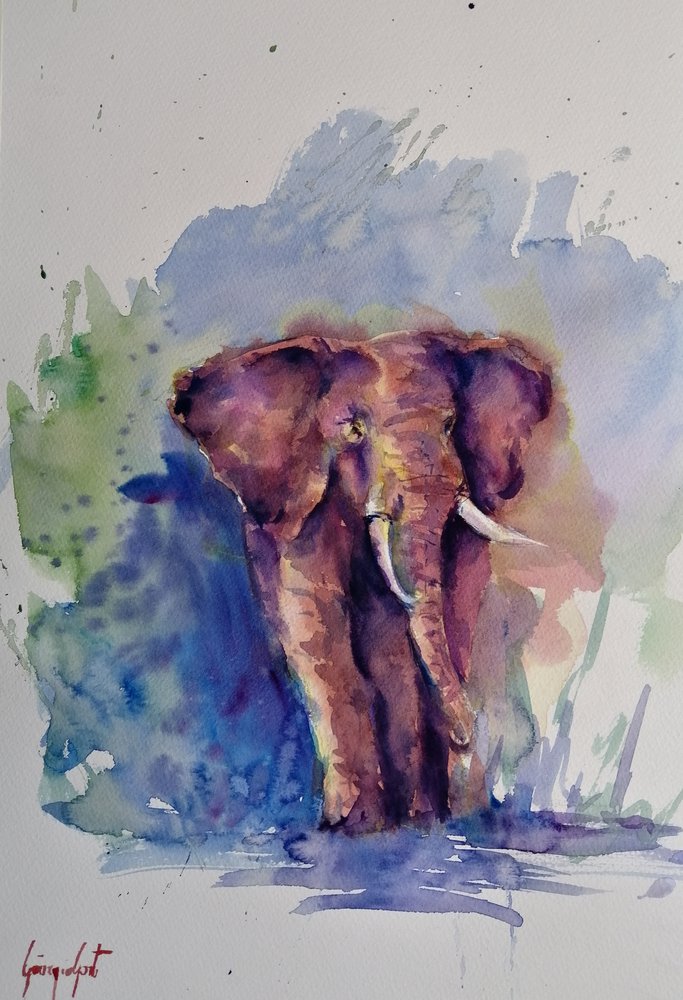 Majestätischer Aquarell-Elefant von Giorgio Gosti