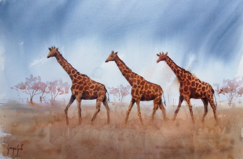 Safari-Giraffen-Trio von Giorgio Gosti
