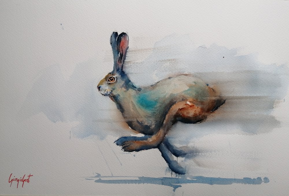 Rasender Aquarellhase von Giorgio Gosti