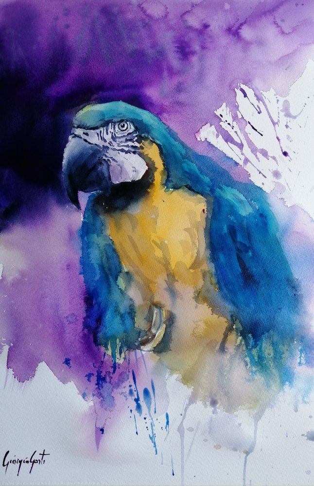 Lebendiger Aquarellpapagei von Giorgio Gosti