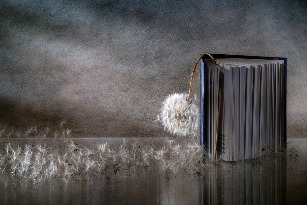 Löwenzahn Buchreflexion von Igor Kopcev