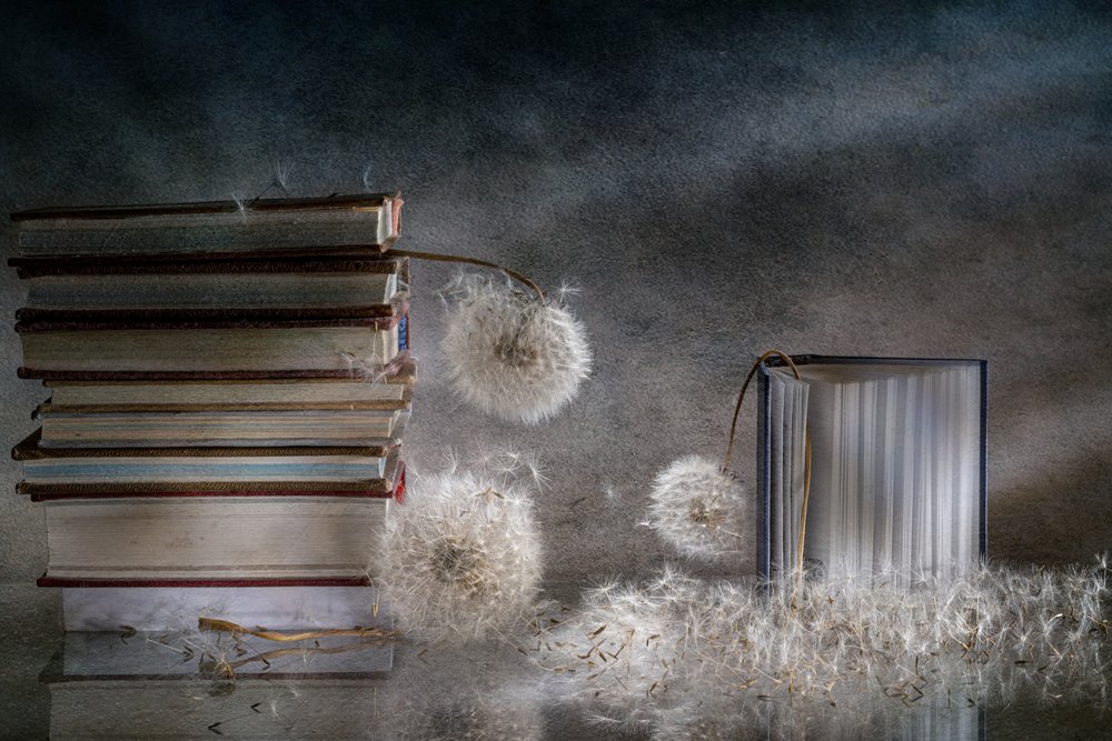 Träumerische Bücher und Löwenzahn von Igor Kopcev