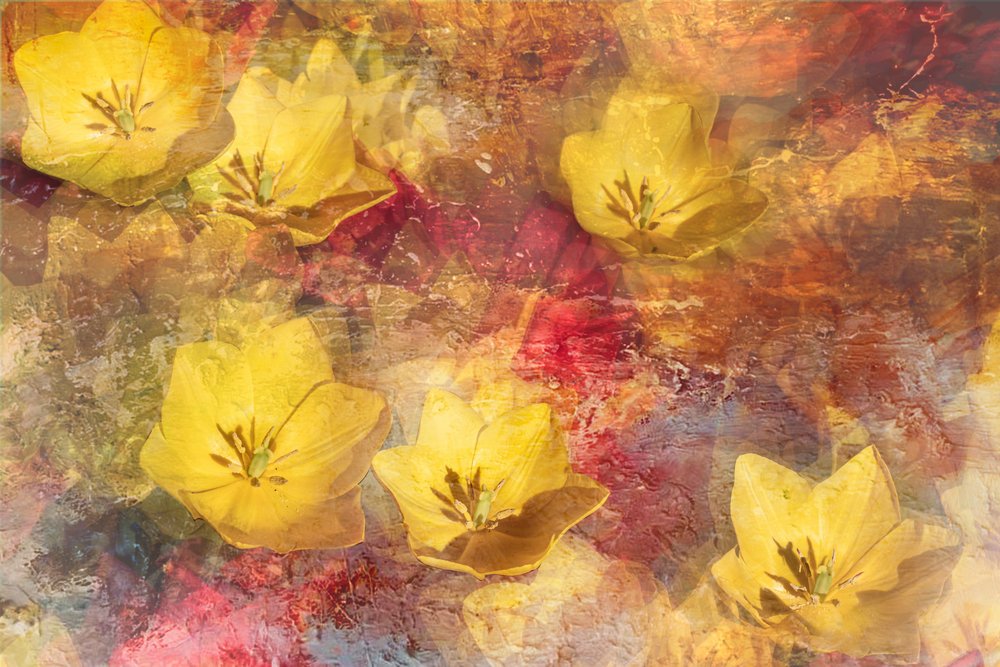 Strukturierte Gelbe Tulpen von Igor Kopcev