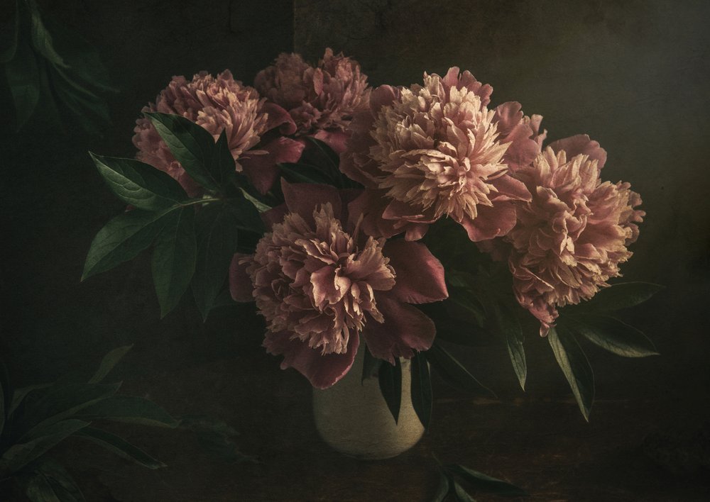 Elegante Rosa Pfingstrosen von Igor Tokarev