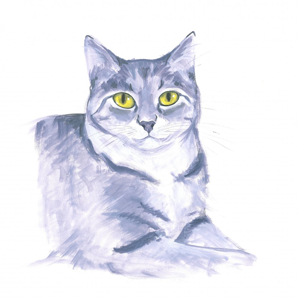 Aufmerksame Katze von Isabelle Brent