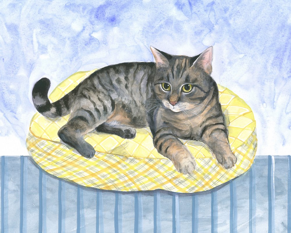Kissenkatze von Isabelle Brent