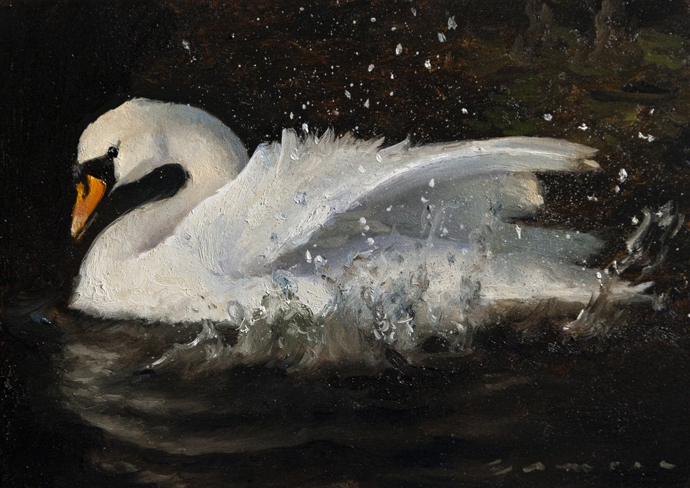 Tanzender Schwan von James Zamora
