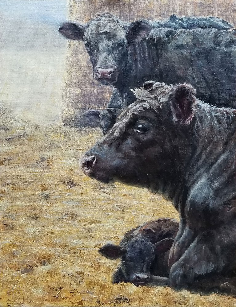 Schwarze Rinderfamilie von Jan Clizer