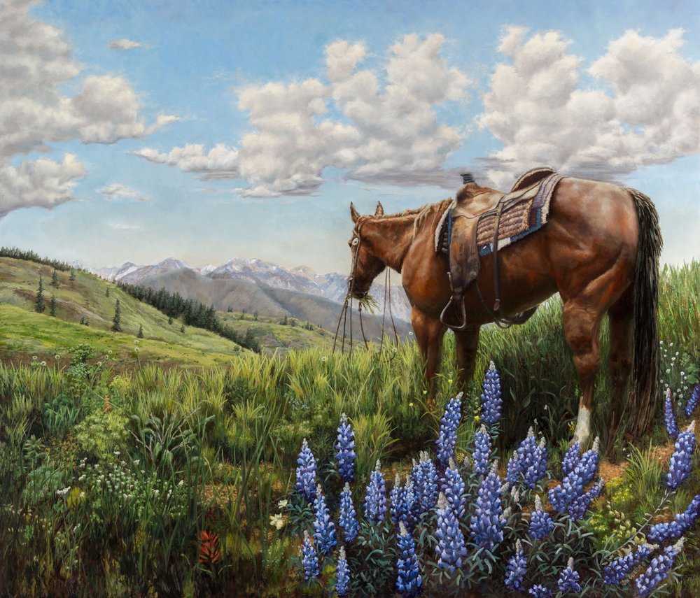 Pferd auf Bergweide von Jan Clizer