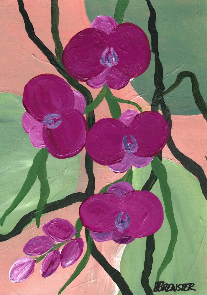 Magenta Orchideenblüten von Janine Brewster