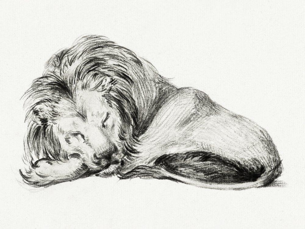 Liegender Löwe von Jean Bernard