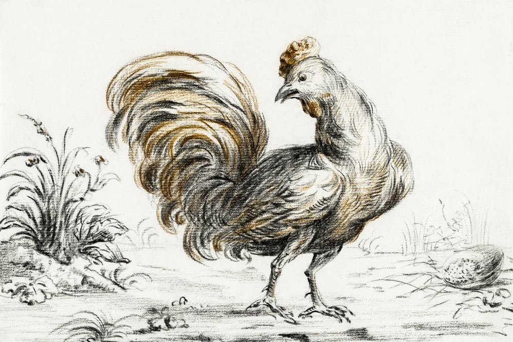 Hahn von Jean Bernard