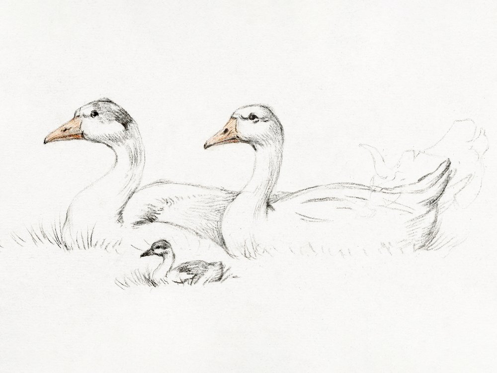 Zwei Gänse mit einem Jungen (1775–1833) von Jean Bernard