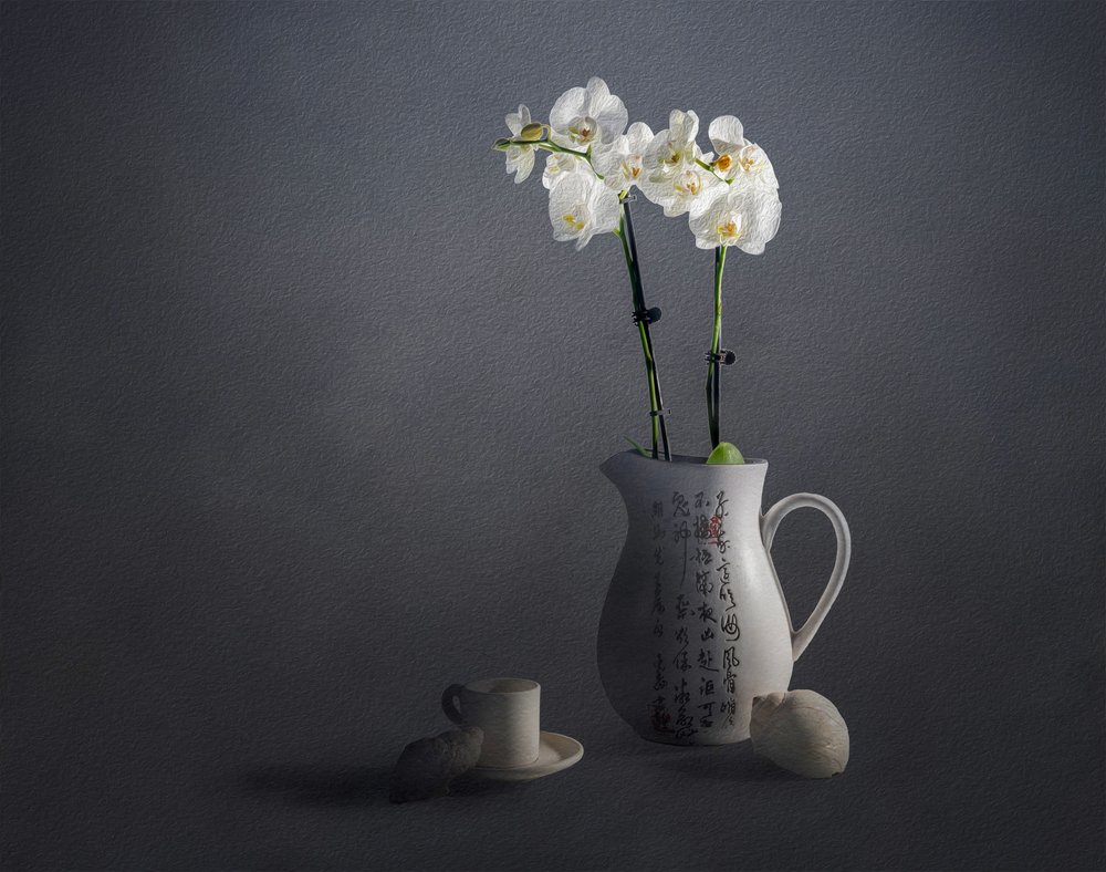 Elegantes Orchideen-Stillleben von John-Mei Zhong