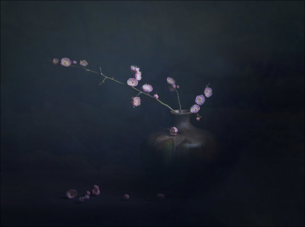 Pflaumenblüten Stillleben von John-Mei Zhong