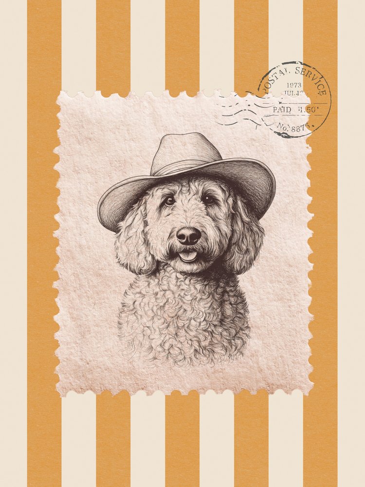 Cowboy Hund Porträt von Jolly and Dash