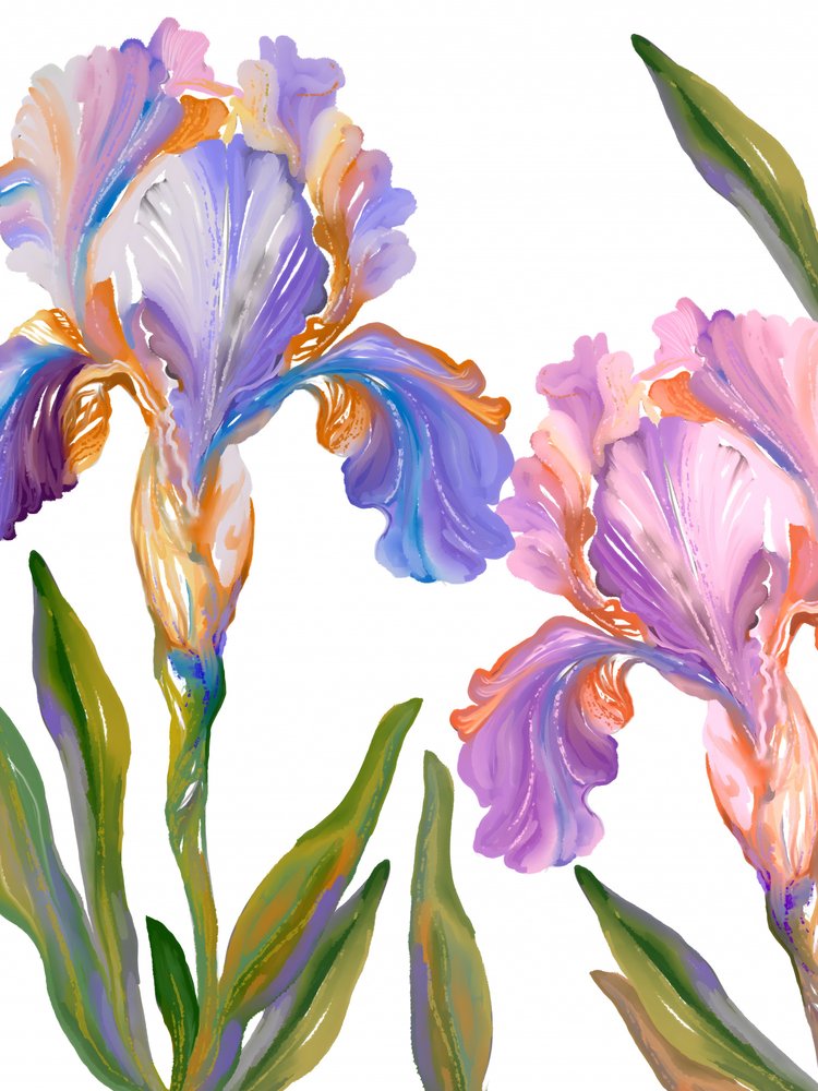Bunte Irisblüten von Josie George