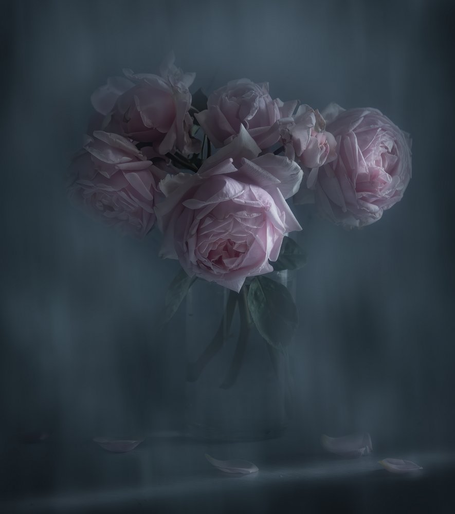 Stimmungsvolle Rosa Rosen von Judy Tseng