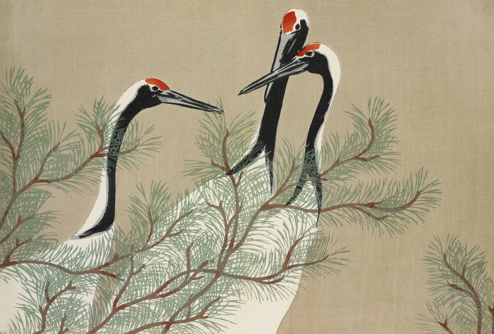Kraniche aus Momoyogusa von Kamisaka Sekka