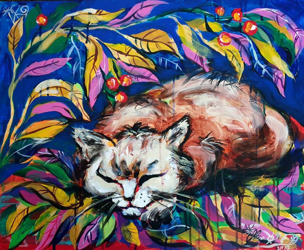 Friedlich Schlafende Katze von Kanat Ibragimov