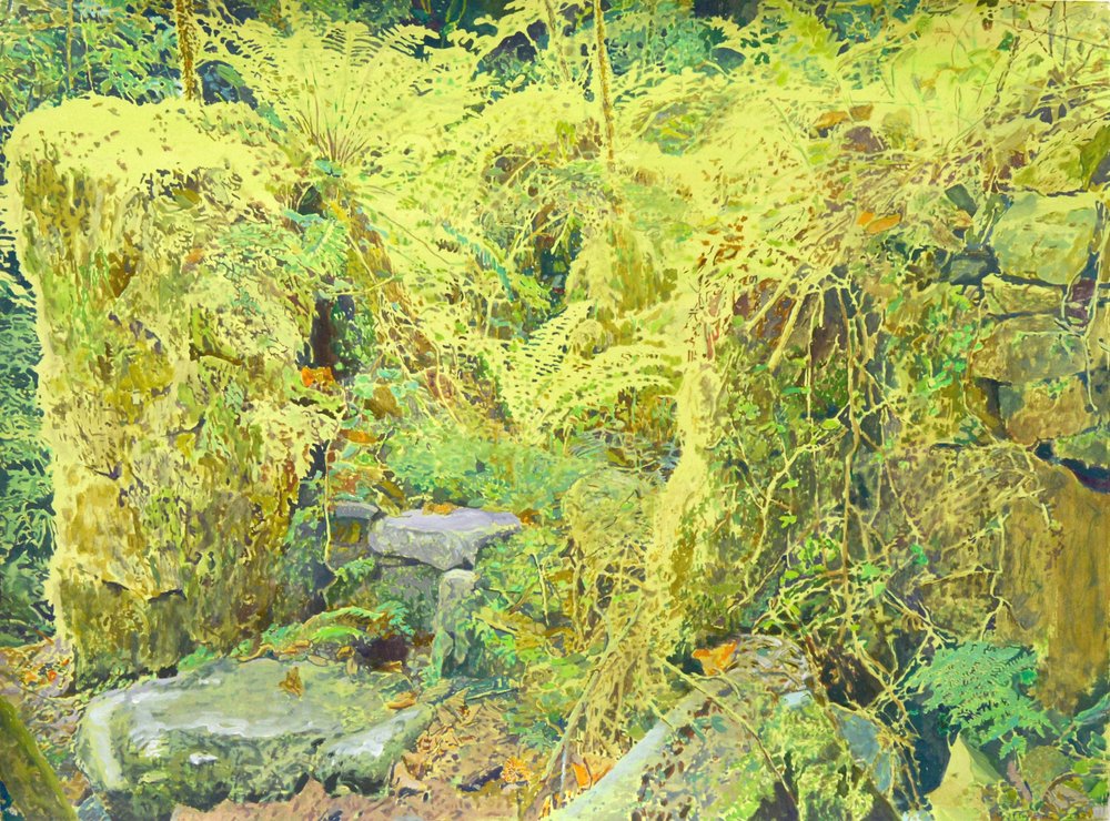 Überwucherte Waldwände von Karin Bos