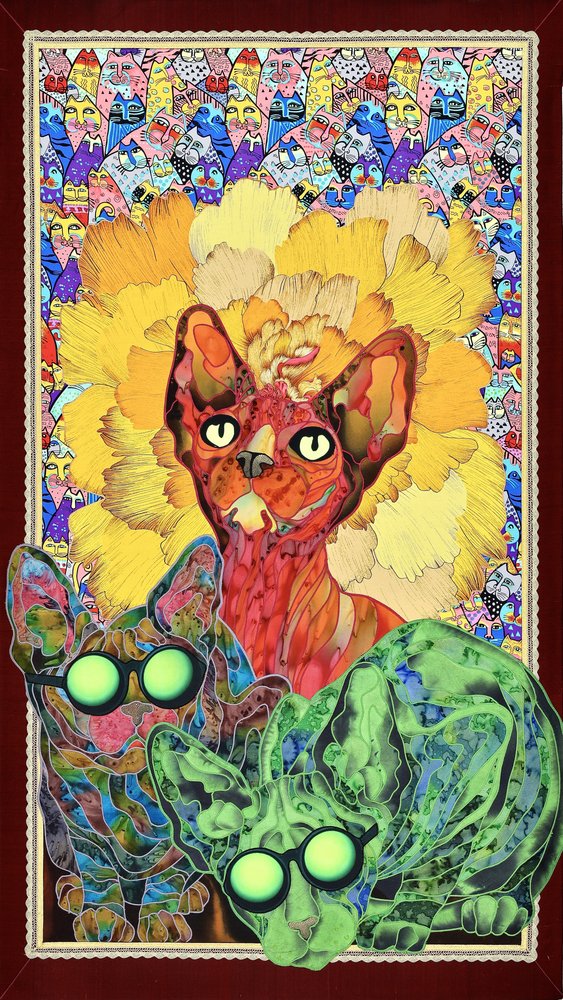 Bunte Sphynx-Katzen von Kostyantin Malginov