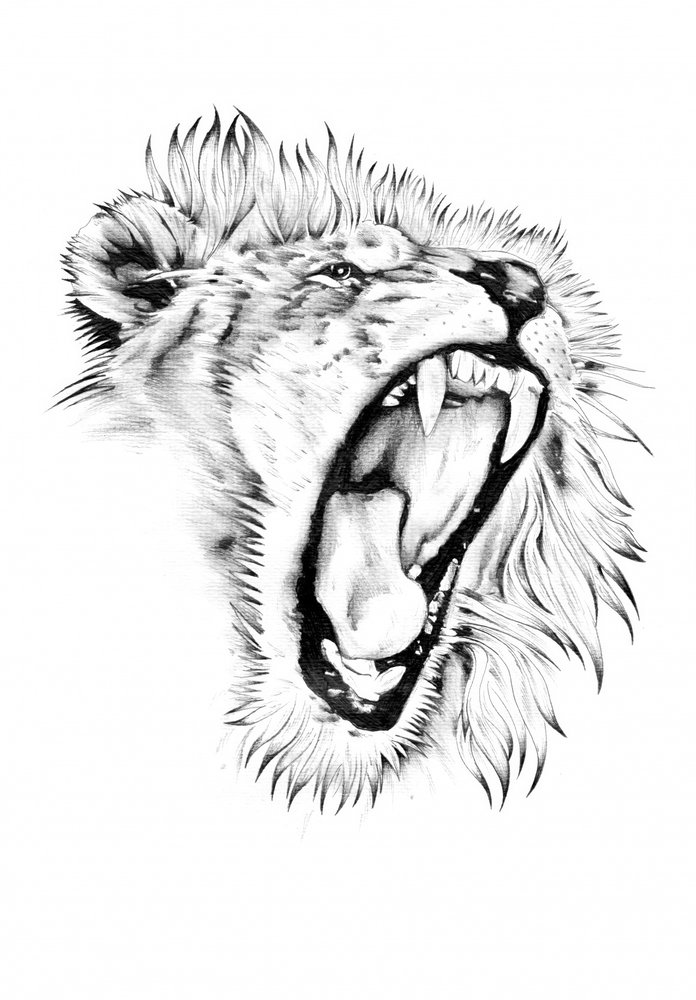 Majestätisches Löwengebrüll von Kulik