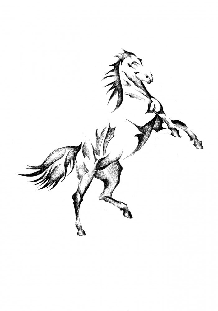 Majestätisches steigendes Pferd von Kulik