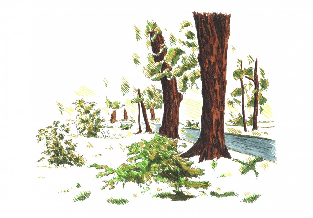 Ruhige Winterwälder von Kulik